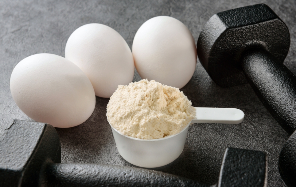 Czym charakteryzuje się białko jaja kurzego i dlaczego jest tak ważne dla naszego organizmu