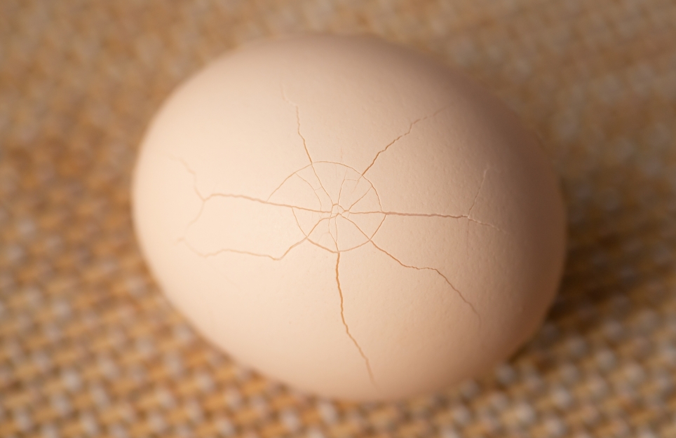 Unikalna struktura białka jaja kurzego